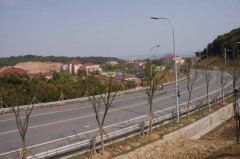 胡楊路工程